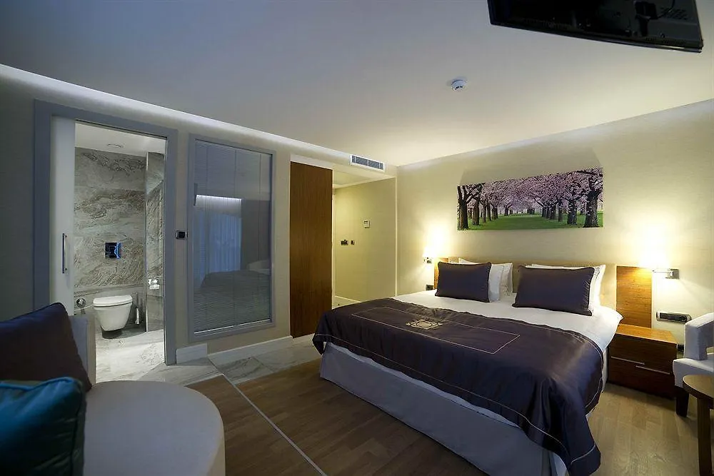 Taba Luxury Suites And Hotel Istanbul